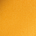 yellow-1-300x286